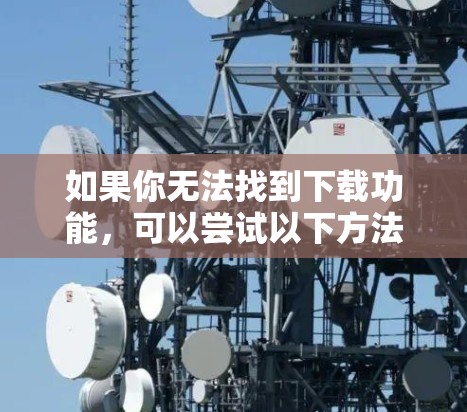 如果你无法找到下载功能，可以尝试以下方法