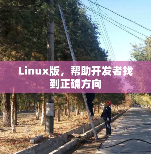 Linux版，帮助开发者找到正确方向