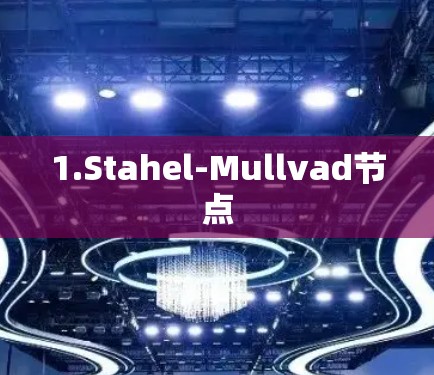 1.Stahel-Mullvad节点