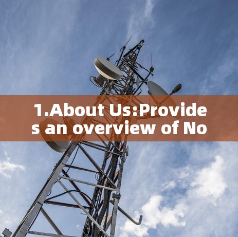 1.About Us:Provides an overview of NordVPN and its mission. 1.About Us:Provides an overview of NordVPN and its mission.
