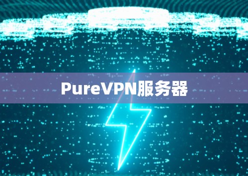 PureVPN服务器 PureVPN服务器