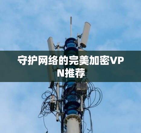 守护网络的完美加密VPN推荐