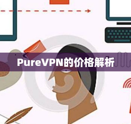 PureVPN的价格解析