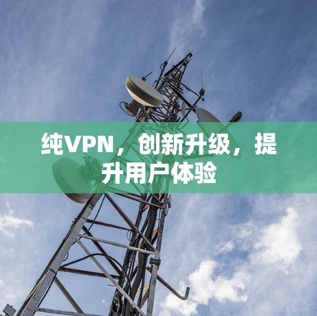 纯VPN,创新升级,提升用户体验 纯VPN,创新升级,提升用户体验