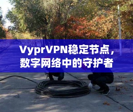 VyprVPN稳定节点，数字网络中的守护者