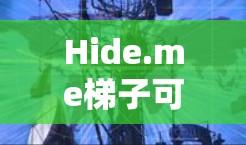 Hide.me梯子可能是指与Hide.me相关的某个加密货币交易平台或代币管理工具，但具体信息并不明确。为了获取准确的信息，建议