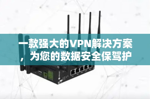 一款强大的VPN解决方案，为您的数据安全保驾护航