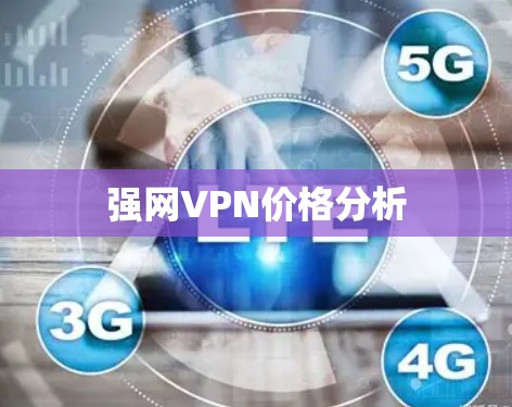 强网VPN价格分析 强网VPN价格分析