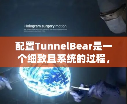 配置TunnelBear是一个细致且系统的过程，需要从基础设置逐步深入。以下是逐步的配置指南
