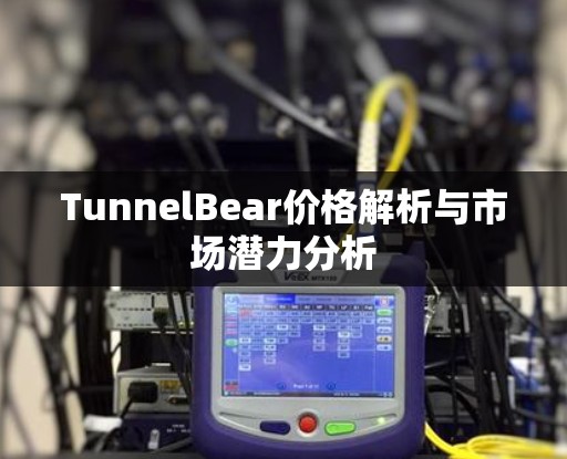 TunnelBear价格解析与市场潜力分析