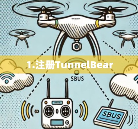 1.注册TunnelBear