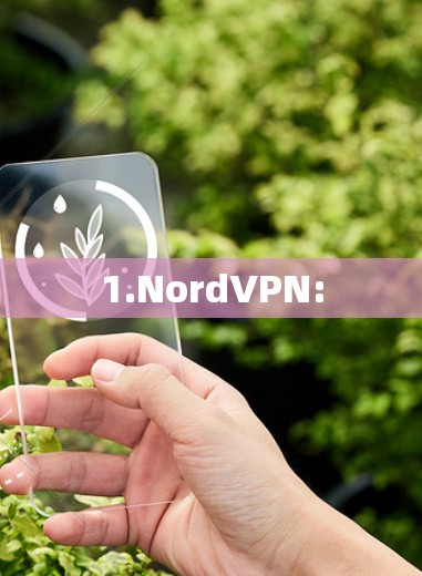 1.NordVPN: 1.NordVPN: