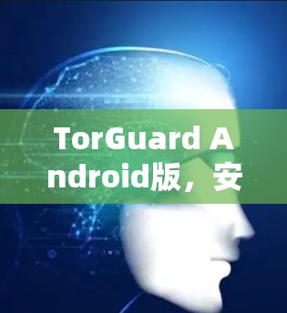 TorGuard Android版，安全防护与用户体验优化