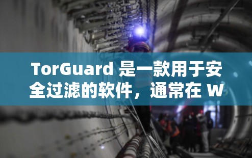 TorGuard 是一款用于安全过滤的软件,通常在 Windows 和 macOS 上可运行。以下是获取 TorGuard 下载地址的步骤 TorGuard 是一款用于安全过滤的软件,通常在 Windows 和 macOS 上可运行。以下是获取 TorGuard 下载地址的步骤