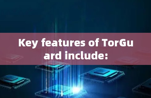 Key features of TorGuard include:
