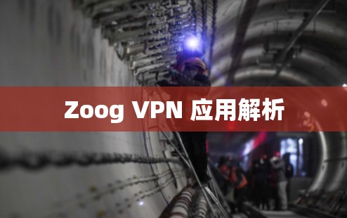 Zoog VPN 应用解析