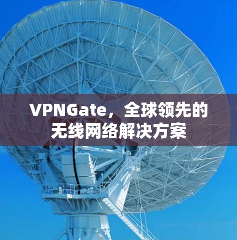 VPNGate，全球领先的无线网络解决方案
