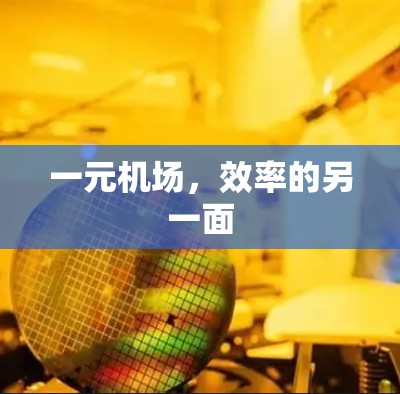 一元机场,效率的另一面 一元机场,效率的另一面