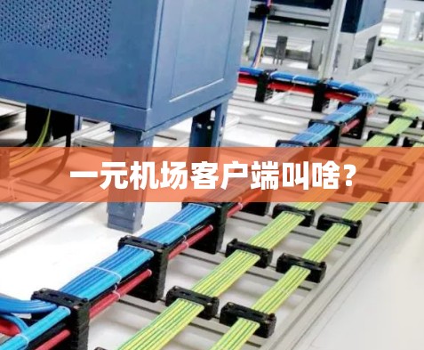 一元机场客户端叫啥? 一元机场客户端叫啥?
