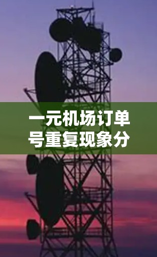 一元机场订单号重复现象分析及解决方案研究 一元机场订单号重复现象分析及解决方案研究