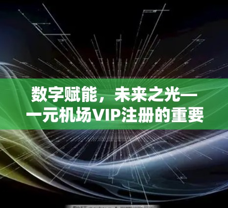 数字赋能，未来之光—一元机场VIP注册的重要性与挑战