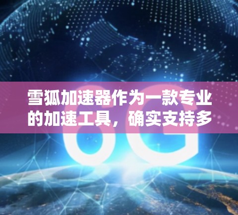 雪狐加速器作为一款专业的加速工具，确实支持多语言和国际化的加速服务。以下是雪狐加速器国际线路的详细介绍