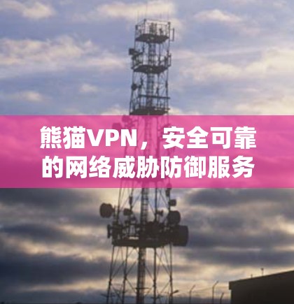 熊猫VPN，安全可靠的网络威胁防御服务