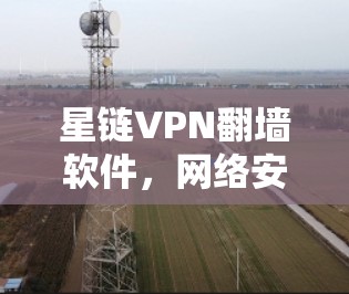 星链VPN翻墙软件，网络安全守护者
