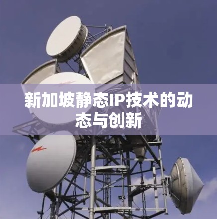新加坡静态IP技术的动态与创新