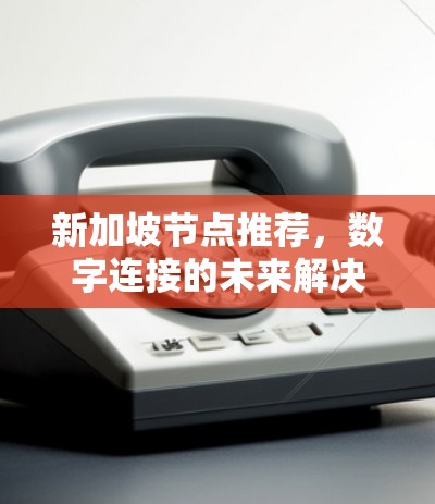 新加坡节点推荐，数字连接的未来解决方案