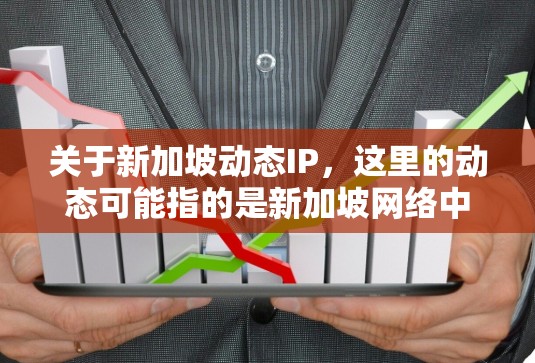 关于新加坡动态IP，这里的动态可能指的是新加坡网络中的动态IP地址或动态网络。以下是一些可能相关的信息