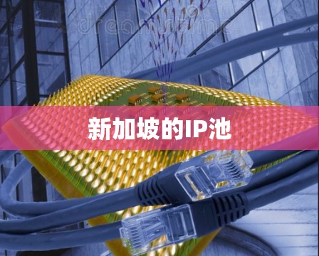 新加坡的IP池