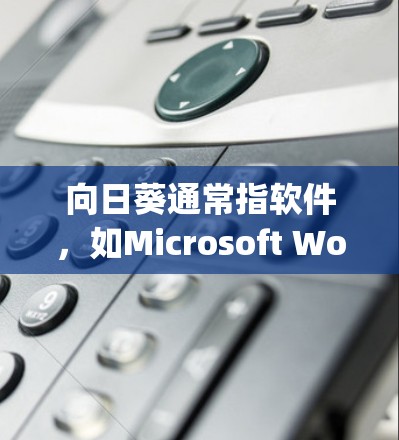 向日葵通常指软件，如Microsoft Word、Google Docs或Slack等。远程连接工具可以帮助你在使用向日葵软件时，将文件或窗口连接到本地计算机。以下是向日葵远程连接工具的常见解决方案