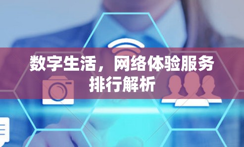 数字生活，网络体验服务排行解析