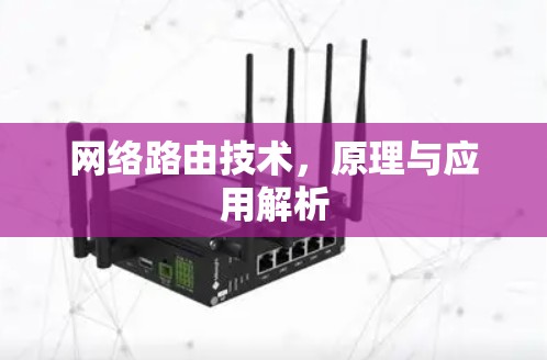 网络路由技术，原理与应用解析