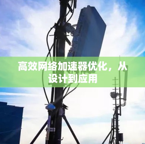 高效网络加速器优化，从设计到应用