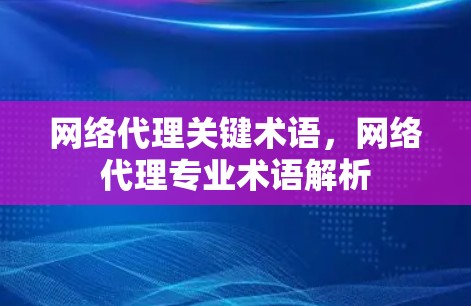 网络代理关键术语，网络代理专业术语解析