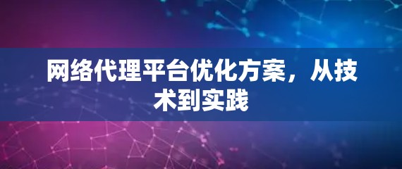 网络代理平台优化方案，从技术到实践