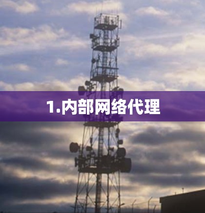 1.内部网络代理