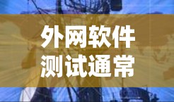 外网软件测试通常指软件测试到外部网络环境，如网站、服务器等。以下是关于外网软件测试的常见知识点和步骤，帮助你更好地理解和规划测试