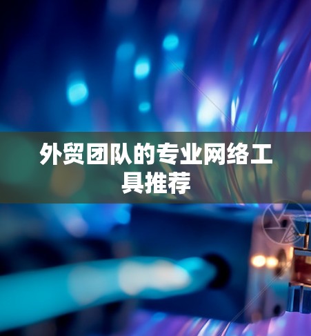 外贸团队的专业网络工具推荐 外贸团队的专业网络工具推荐