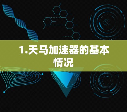 1.天马加速器的基本情况 1.天马加速器的基本情况