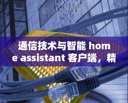 通信技术与智能 home assistant 客户端，精选版梯子客户端