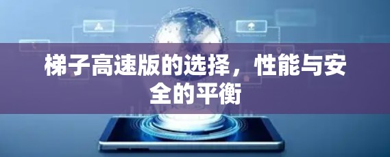 梯子高速版的选择，性能与安全的平衡