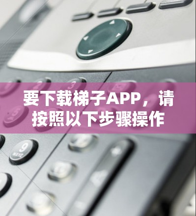要下载梯子APP，请按照以下步骤操作