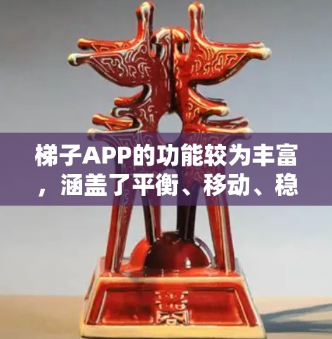 梯子APP的功能较为丰富，涵盖了平衡、移动、稳定性、易滑性、提醒、存储、维护等多个方面。以下是对这些功能的详细解析