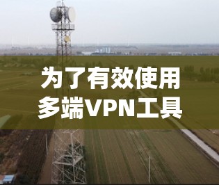 为了有效使用多端VPN工具，以下是一个系统的步骤指南