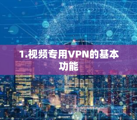 1.视频专用VPN的基本功能 1.视频专用VPN的基本功能