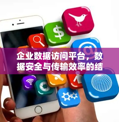 企业数据访问平台，数据安全与传输效率的结合