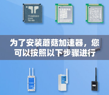 为了安装蘑菇加速器，您可以按照以下步骤进行
